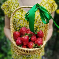 Корзина с клубникой S Корзина с клубникой S